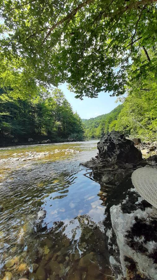 Kuca Za Odmor Forest Dream U Blizini Rijeke Kupe Plesce Bagian luar foto