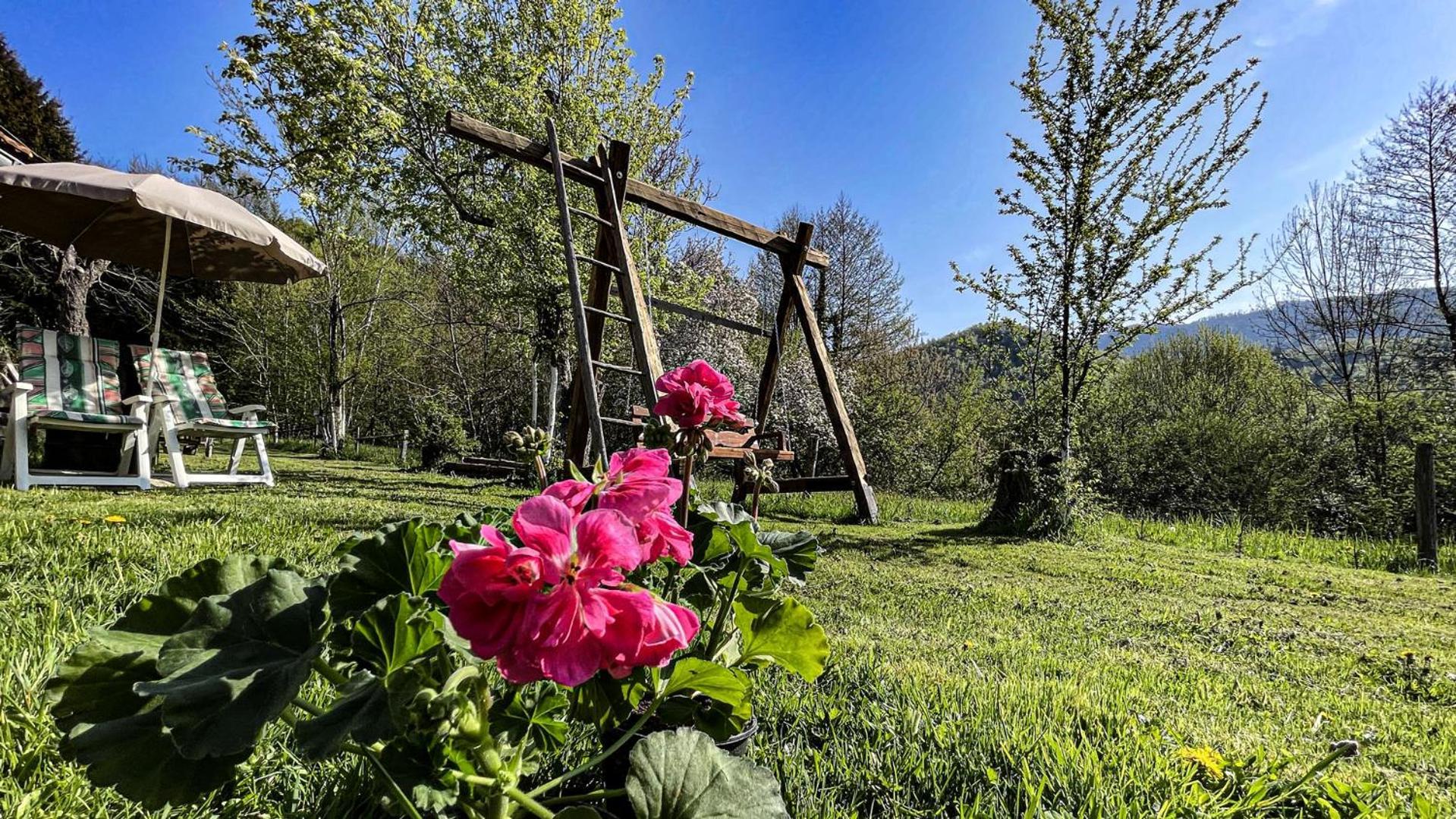 Kuca Za Odmor Forest Dream U Blizini Rijeke Kupe Plesce Bagian luar foto
