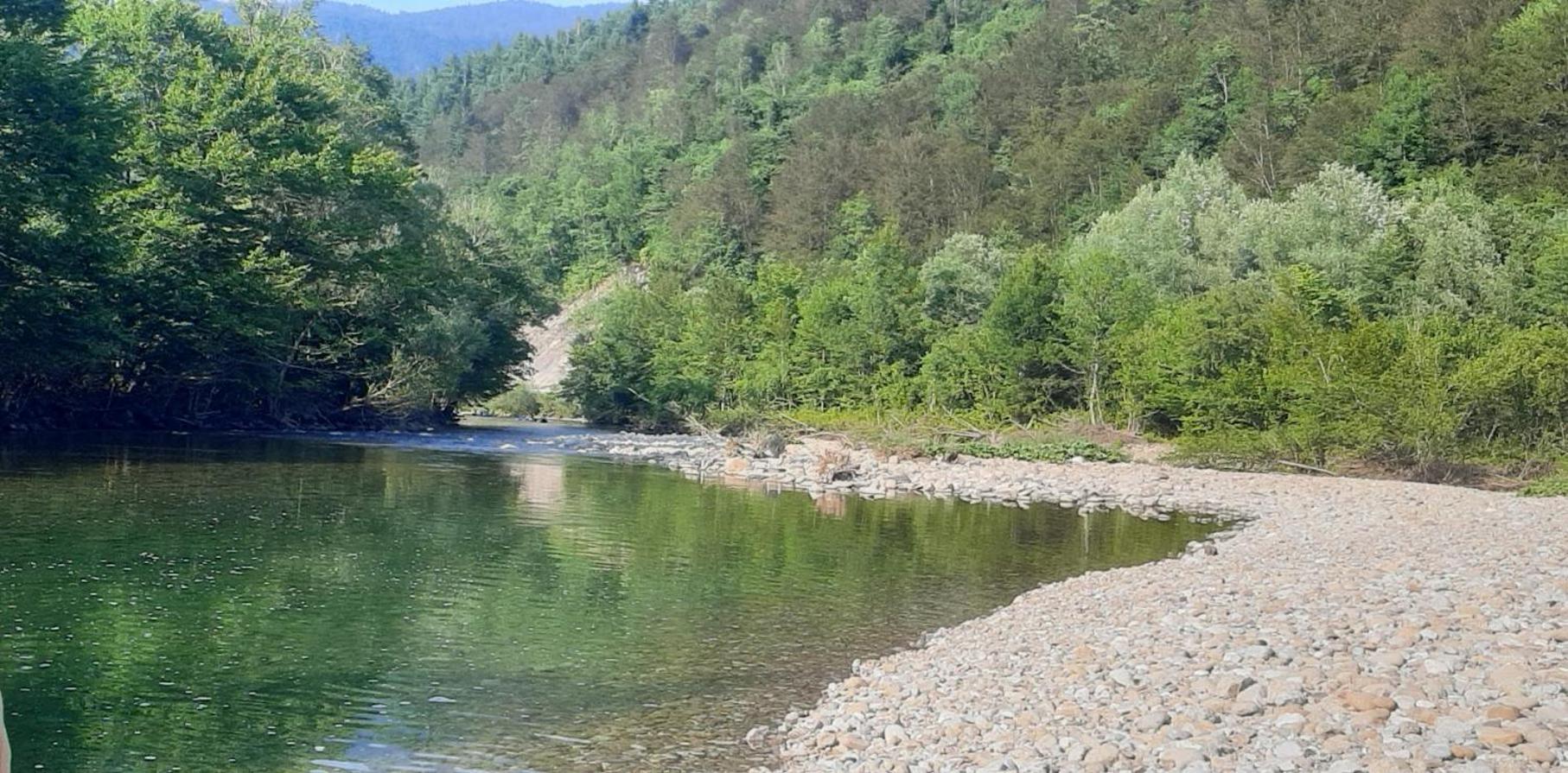 Kuca Za Odmor Forest Dream U Blizini Rijeke Kupe Plesce Bagian luar foto